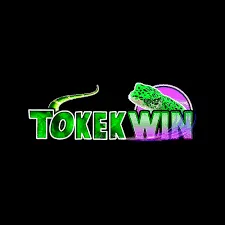 tokekwin APK Live Casino